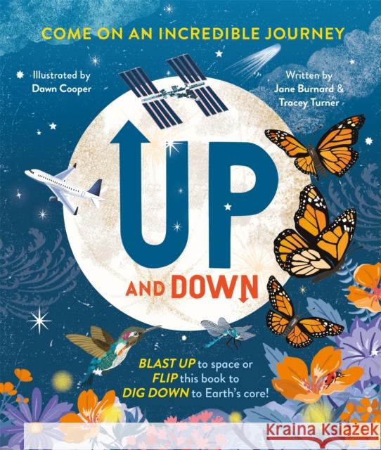 Up and Down: Come on an incredible journey Jane Burnard 9780753448519 Pan Macmillan - książka