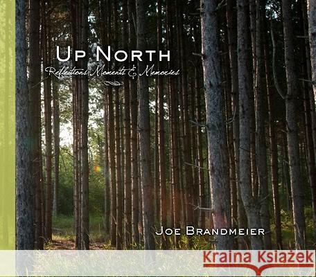Up North: Reflections, Moments & Memories Joe Brandmeier 9780931674600 Tristan Publishing - książka