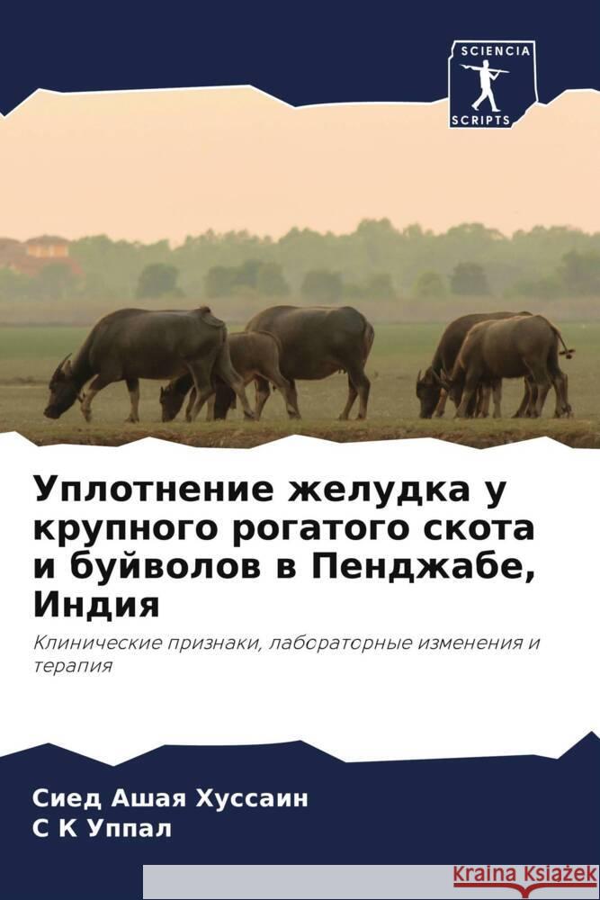 Uplotnenie zheludka u krupnogo rogatogo skota i bujwolow w Pendzhabe, Indiq Hussain, Sied Ashaq, Uppal, S K 9786205551257 Sciencia Scripts - książka