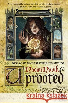 Uprooted Novik, Naomi 9780804179058 Del Rey Books - książka