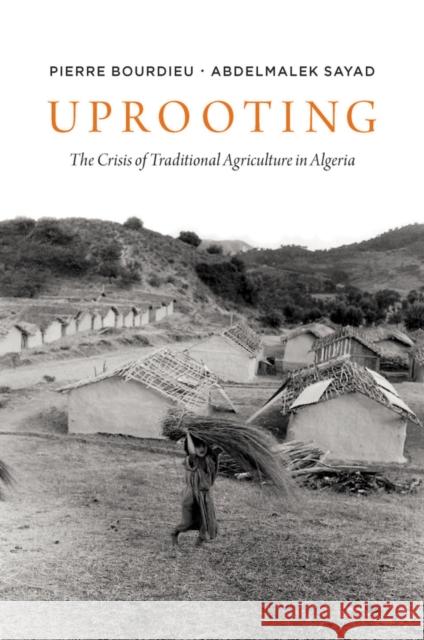 Uprooting: The Crisis of Traditional Algriculture in Algeria Bourdieu, Pierre 9780745623542 John Wiley and Sons Ltd - książka