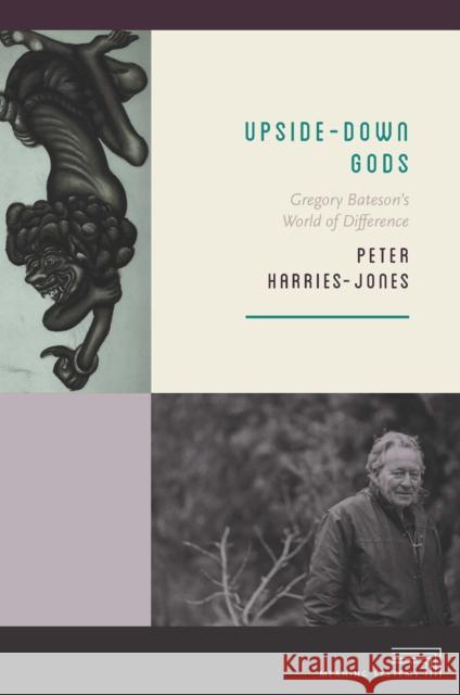 Upside-Down Gods: Gregory Bateson's World of Difference Peter Harries-Jones 9780823270347 Fordham University Press - książka