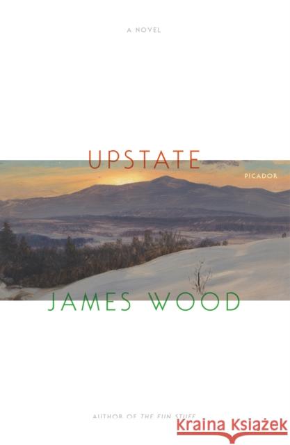 Upstate James Wood 9781250215055 Picador USA - książka