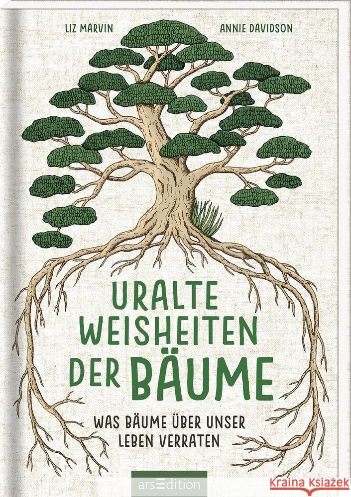 Uralte Weisheiten der Bäume Marvin, Liz 9783845839745 ars edition - książka