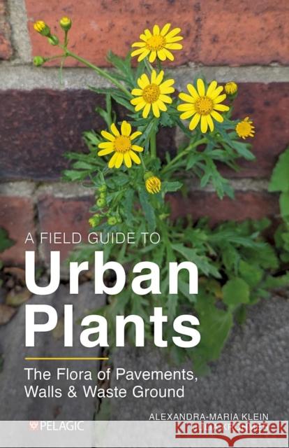 Urban Plants: A Guide to Pavement Flora Alexandra-Maria Klein Julia Krohmer 9781784274740 Pelagic Publishing Ltd - książka