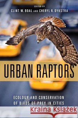 Urban Raptors: Ecology and Conservation of Birds of Prey in Cities Clint W. Boal Cheryl R. Dykstra 9781610918404 Island Press - książka