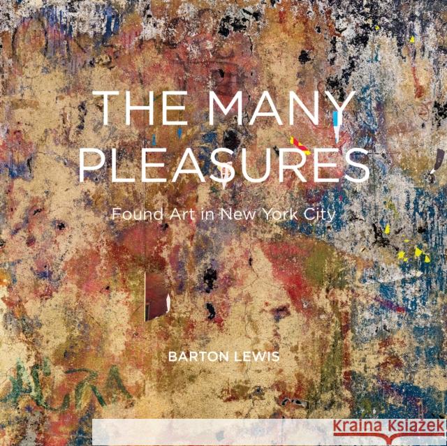 Urban Treasures: The Found Art of New York City Barton Lewis 9781954119406 Daylight Books - książka