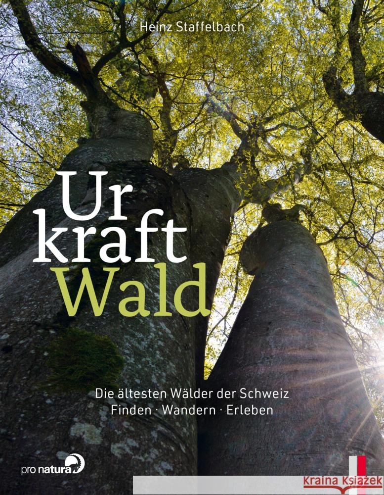 Urkraft Wald Staffelbach, Heinz 9783039130382 AS Verlag, Zürich - książka