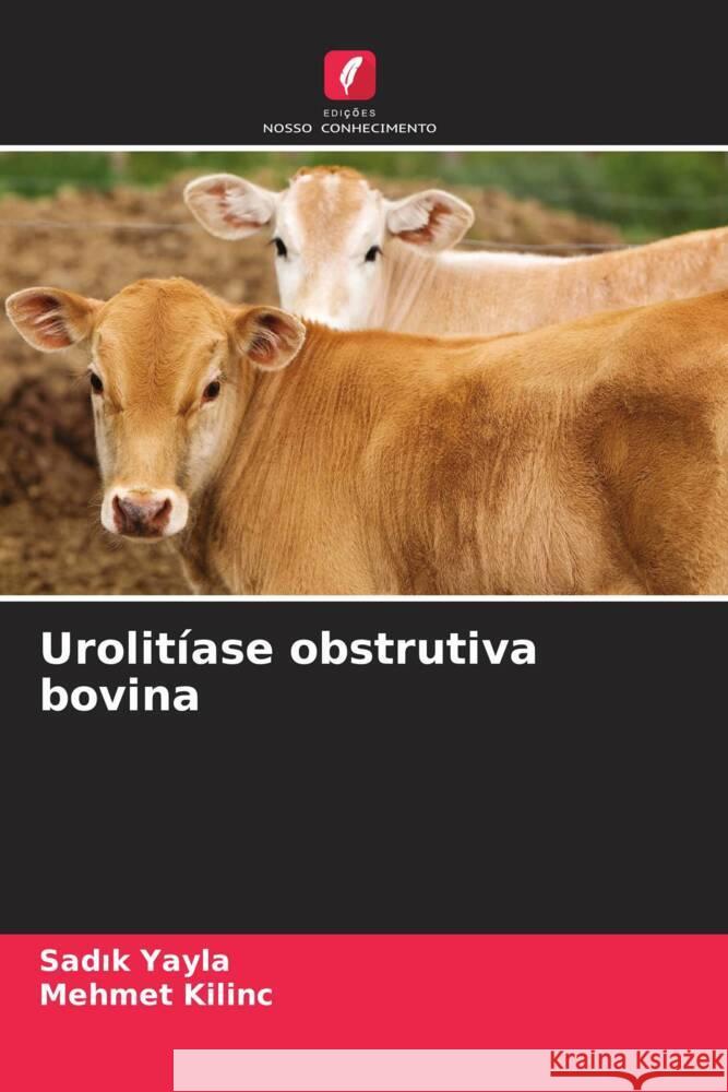 Urolitíase obstrutiva bovina Yayla, Sadik, KILINC, Mehmet 9786207113613 Edições Nosso Conhecimento - książka