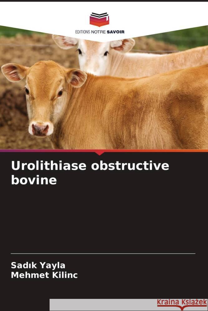 Urolithiase obstructive bovine Yayla, Sadik, KILINC, Mehmet 9786207113590 Editions Notre Savoir - książka