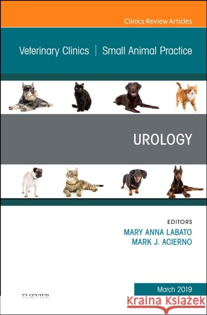 Urology, an Issue of Veterinary Clinics of North America: Small Animal Practice: Volume 49-2 Labato, Mary 9780323678483 Elsevier - książka