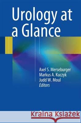 Urology at a Glance Axel S. Merseburger Markus A. Kuczyk Judd W. Moul 9783642548581 Springer - książka