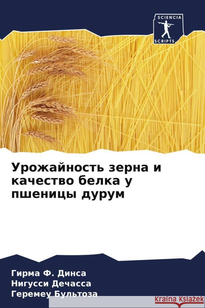 Urozhajnost' zerna i kachestwo belka u pshenicy durum Dinsa, Girma F., Dechassa, Nigussi, Bul'toza, Geremeu 9786205070239 Sciencia Scripts - książka