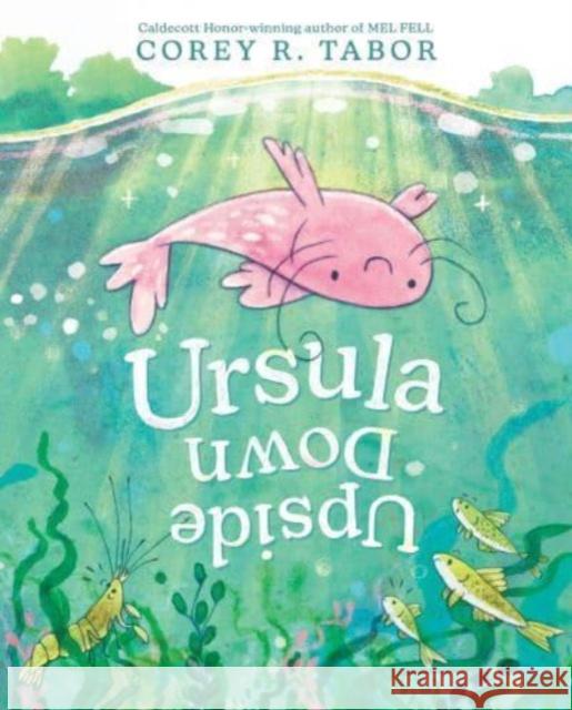 Ursula Upside Down Corey R. Tabor 9780063275560 HarperCollins Publishers Inc - książka