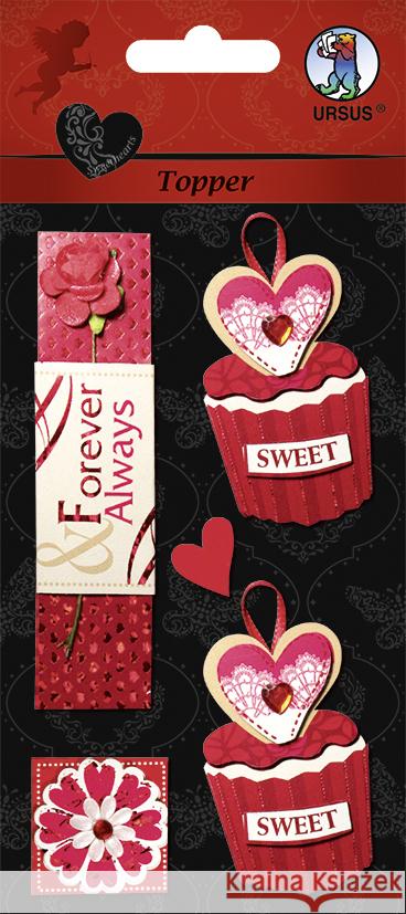 URSUS Topper  4008525171218 Buntpapierfabrik Ludwig Bähr - książka