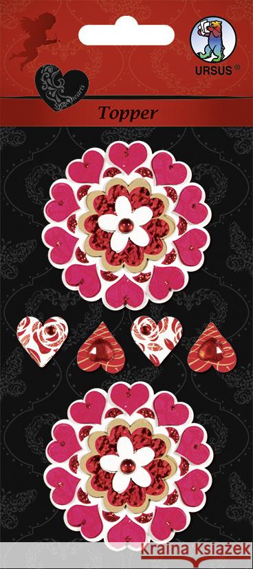 URSUS Topper  4008525171225 Buntpapierfabrik Ludwig Bähr - książka