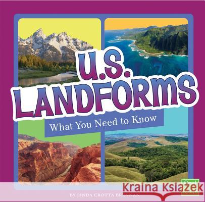 U.S. Landforms: What You Need to Know Linda Crotta Brennan 9781515781257 Capstone Press - książka