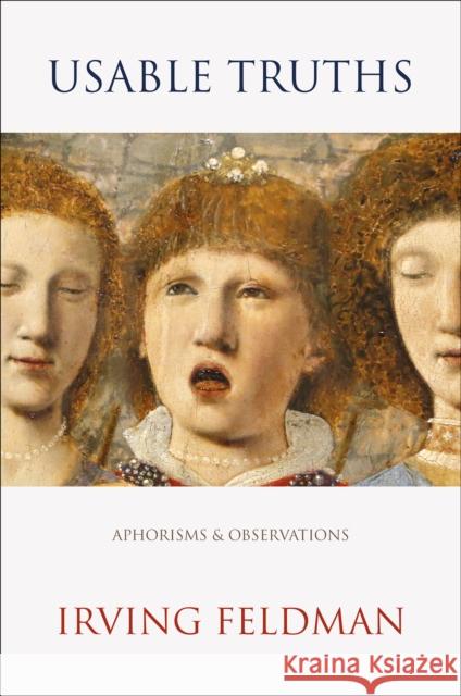 Usable Truths Irving Feldman 9781904130994 The Waywiser Press - książka