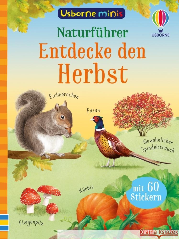 Usborne Minis - Naturführer: Entdecke den Herbst Tudhope, Simon 9781035704606 Usborne Verlag - książka