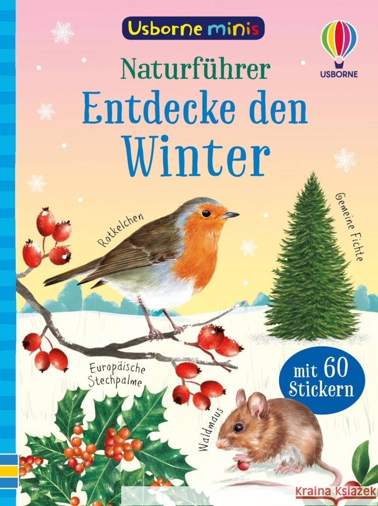 Usborne Minis - Naturführer: Entdecke den Winter Tudhope, Simon 9781035704637 Usborne Verlag - książka
