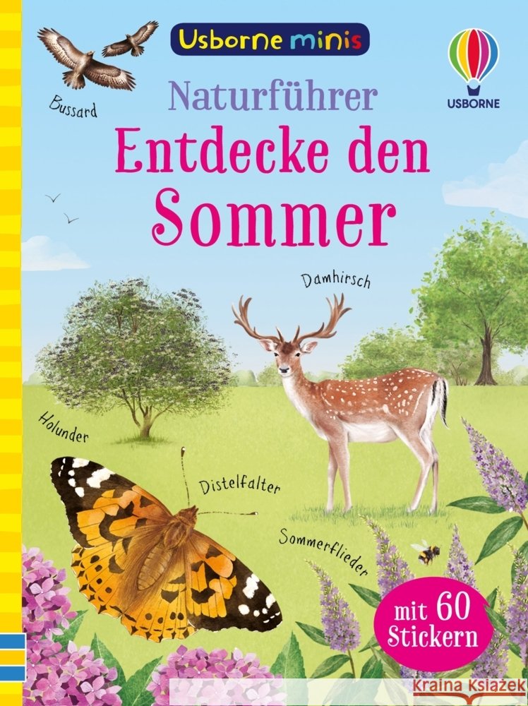 Usborne Minis - Naturführer: Entdecke den Sommer Nolan, Kate, Bryan, Lara 9781035704620 Usborne Verlag - książka