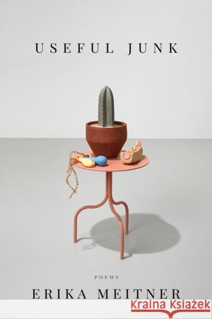 Useful Junk Erika Meitner 9781950774531 BOA Editions, Limited - książka