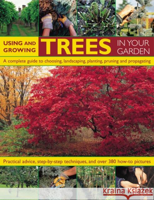 Using and Growing Trees in Your Garden Michael W Buffin 9781844764273 Anness Publishing - książka