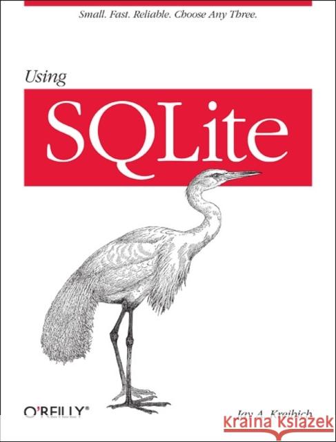 Using SQLite Jay A. Kreibich 9780596521189 O'Reilly Media - książka