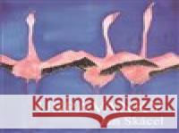 Uspávanky Zdenka Gelnarová 9788027908004 MOBA - książka