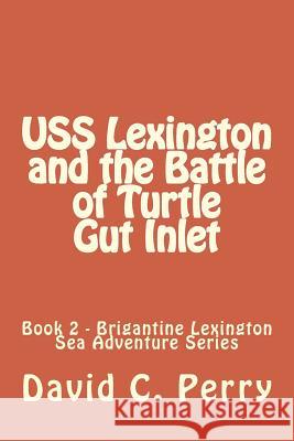 USS Lexington and The Battle of Turtle Gut Inlet Perry, Charles O. 9781492725770 Createspace - książka