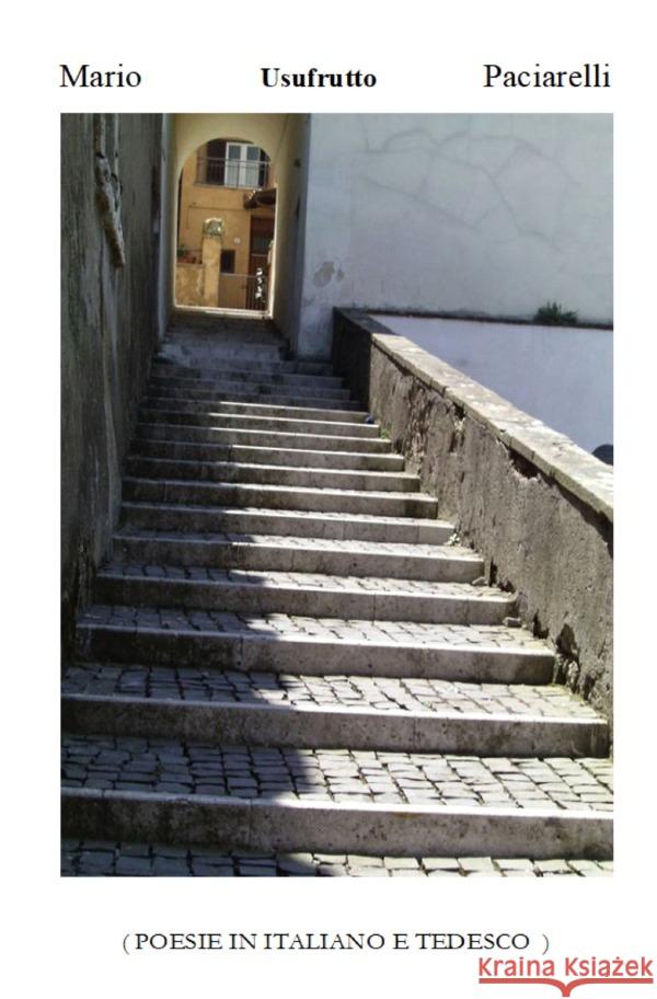 Usufrutto Paciarelli, Mario 9783754145005 epubli - książka