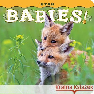 Utah Babies! Steph Lehmann 9781560376835 Farcountry Press - książka