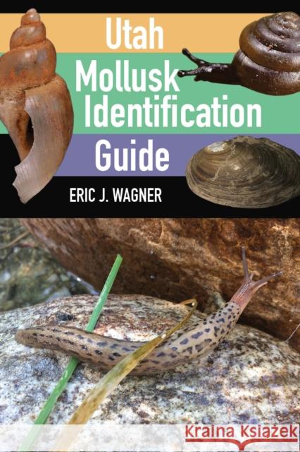 Utah Mollusk Identification Guide Eric J. Wagner 9781647690878 University of Utah Press - książka