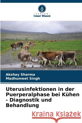 Uterusinfektionen in der Puerperalphase bei K?hen - Diagnostik und Behandlung Akshay Sharma Madhumeet Singh 9786207550531 Verlag Unser Wissen - książka