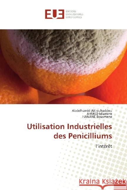 Utilisation Industrielles des Penicilliums : l'intérêt Ait ouhaddou, Abdelhamid; Idlamine, AHMED; Bousmene, HANANE 9783639482744 Éditions universitaires européennes - książka