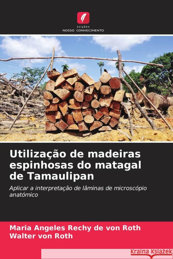 Utilização de madeiras espinhosas do matagal de Tamaulipan Rechy de von Roth, Maria Angeles, von Roth, Walter 9786206257769 Edições Nosso Conhecimento - książka