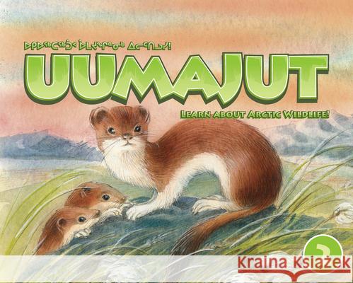 Uumajut, Volume 2: Learn about Arctic Wildlife! Awa, Simon 9781926569222 Inhabit Media - książka