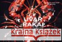 Uvař raka  9788025745885 Argo - książka