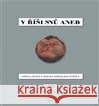 V říši snů aneb Lyrika, epika a motyka Miroslava Ptáčka Miroslav Ptáček 9788072157143 Torst - książka