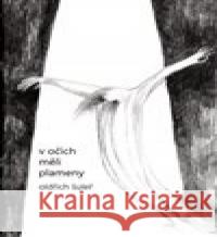 V očích měli plameny Oldřich Šuleř 9788027082773  - książka