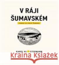 V ráji šumavském Lukáš Procházka 9788027099948 Akcent - książka