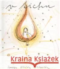 V tichu Pavel „Hirax“ Baričák 9788089502141 Hirax records - książka