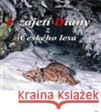 V zajetí Diany z Českého lesa Miroslav Ryšavý 9788074972317 BLOK - książka