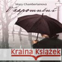 V zapomnění Mary Chamberlainová 9788025741085 Argo - książka