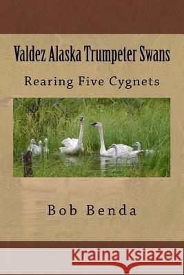 Valdez Alaska Trumpeter Swans: Rearing Five Cygnets Bob Benda 9781519561428 Createspace Independent Publishing Platform - książka