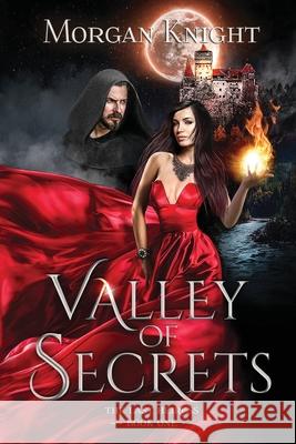 Valley Of Secrets Morgan Knight 9781949247138 Green Rhino Media LLC - książka