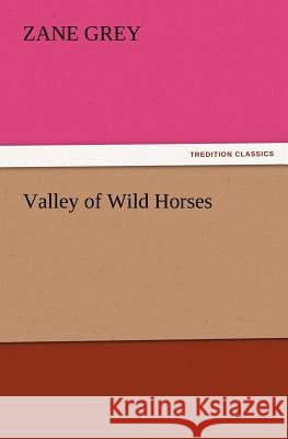Valley of Wild Horses Zane Grey 9783847222460 Tredition Classics - książka
