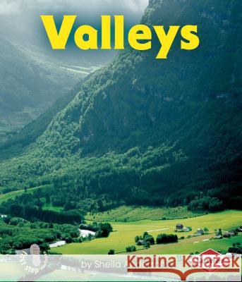 Valleys Sheila Anderson 9780822586067 Lerner Classroom - książka