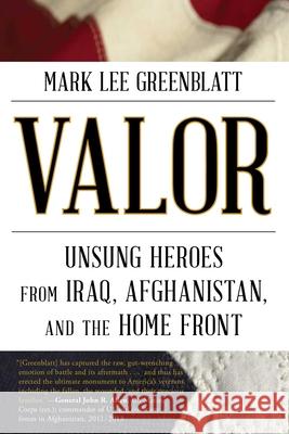Valor: Unsung Heroes from Iraq, Afghanistan, and the Home Front Mark Lee Greenblatt 9781630761448 Taylor Trade Publishing - książka