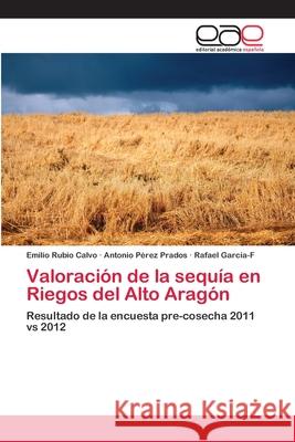 Valoración de la sequía en Riegos del Alto Aragón Emilio Rubio Calvo, Antonio Pérez Prados, Rafael García-F 9783659058790 Editorial Academica Espanola - książka